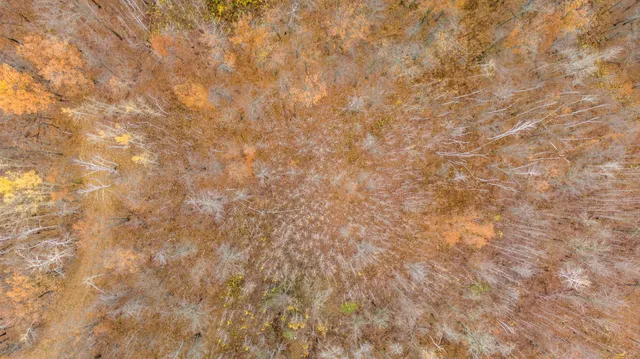 $189,900 | 77 County Road 77, Nisswa, MN 56468