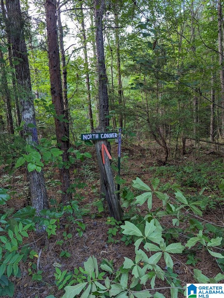 310 County Road 249 Clanton, AL 35046 - Photo 57 of 85