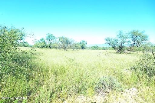 0 Yucca Ash Farm Road East, Unit 2 Sonoita, AZ 85637 - Photo 3 of 10