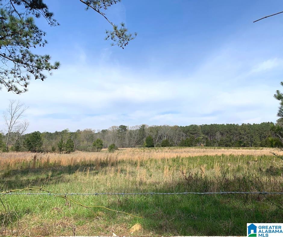 352 Daniel Road, Unit 97 17 ACRES Ohatchee, AL 36271 - Photo 15 of 17
