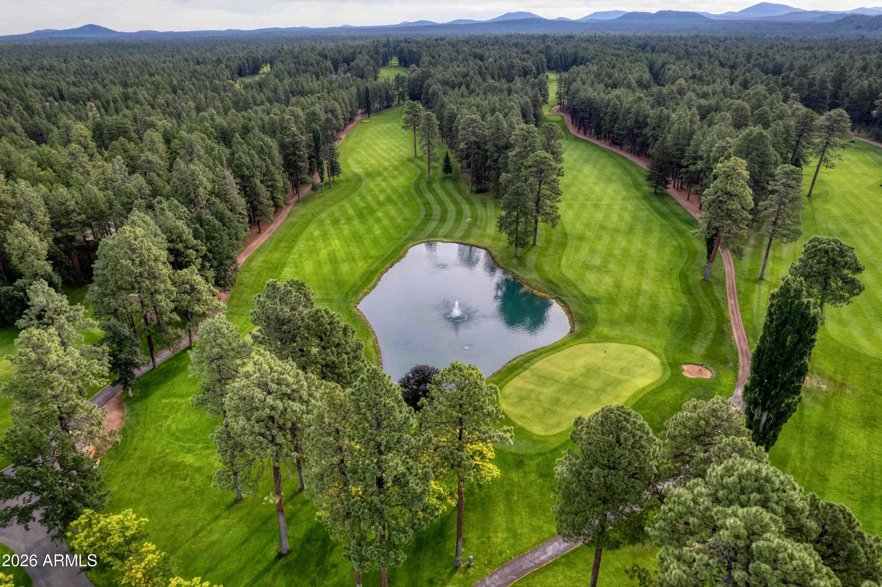 8224 White Oak Road Pinetop, AZ 85935 - Photo 46 of 48 GOLF