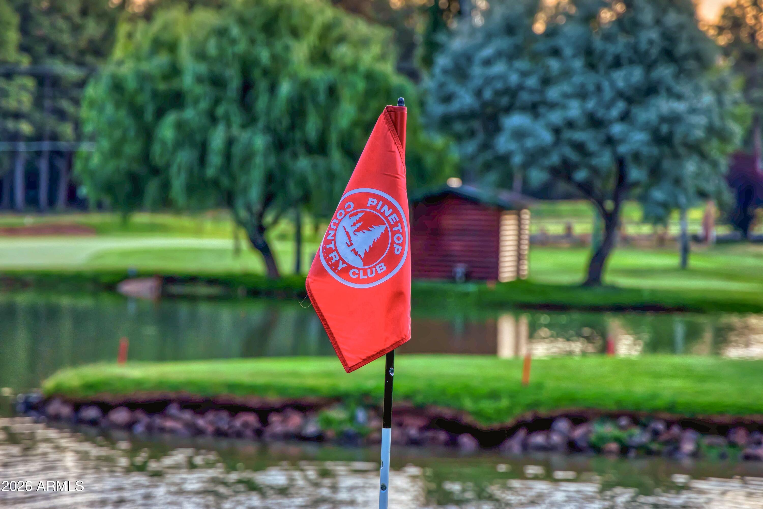 8224 White Oak Road Pinetop, AZ 85935 - Photo 48 of 48 GOLFING