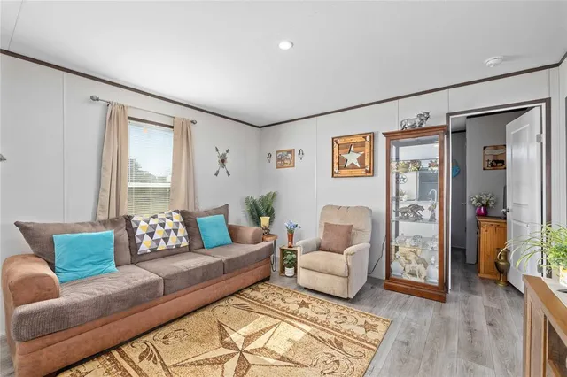 a living room with furniture and a couch