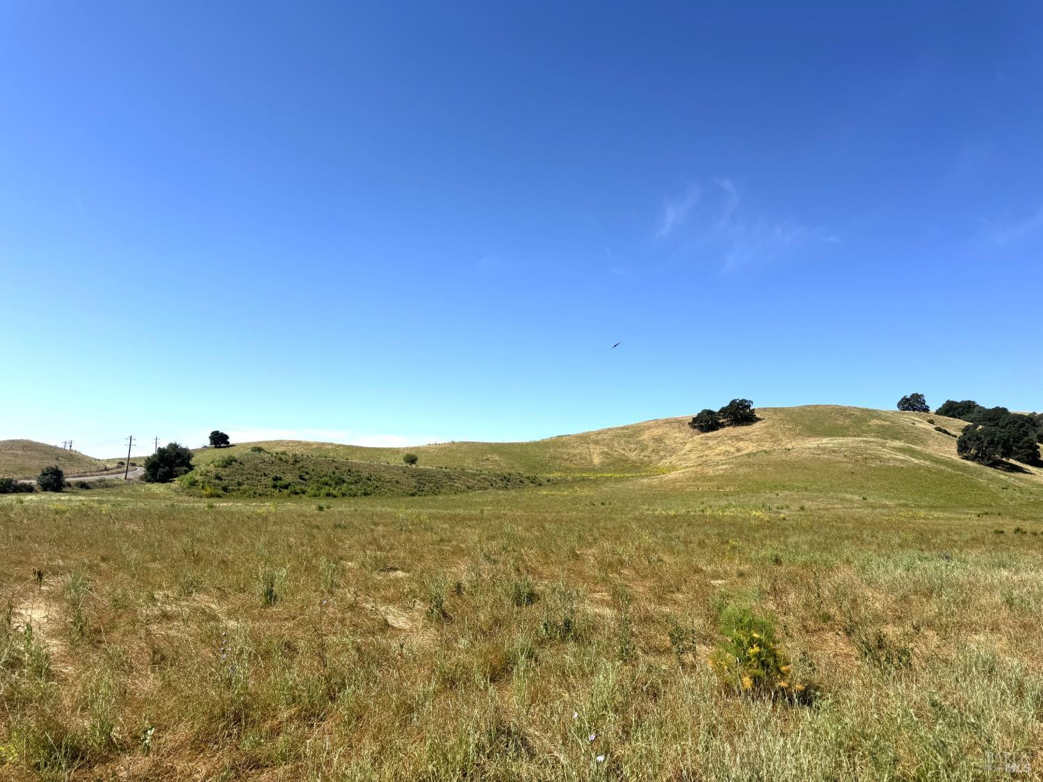 5275 Lyon Road Fairfield, CA 94534 - Photo 36 of 41