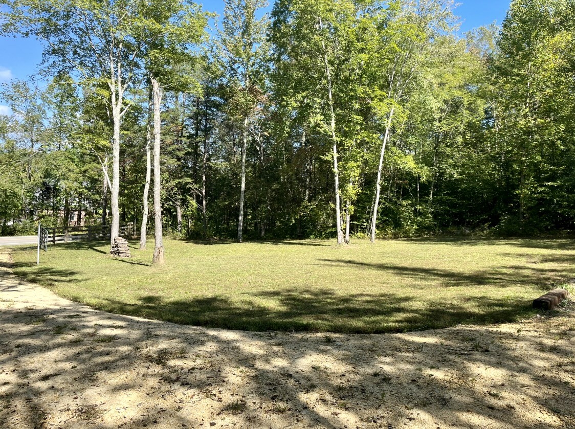 0 Brown Road Hohenwald, TN 38462 - Photo 2 of 28 Gallery Image 2