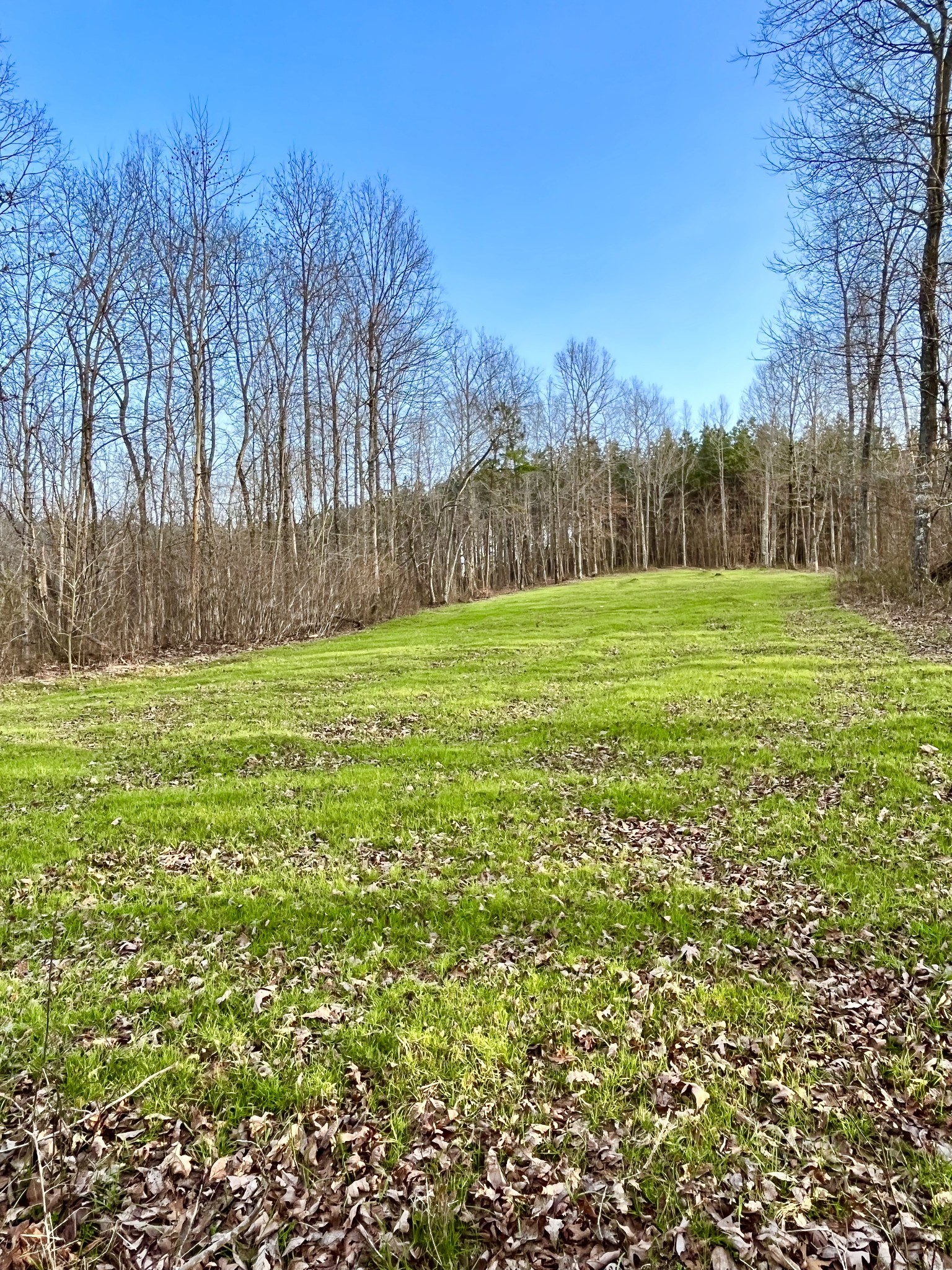 0 Brown Road Hohenwald, TN 38462 - Photo 23 of 28 Gallery Image 23