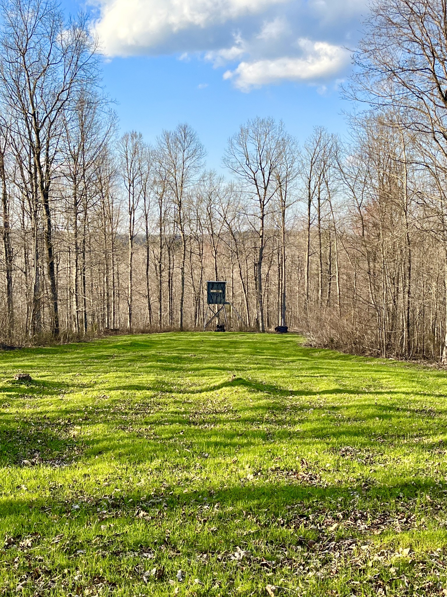 0 Brown Road Hohenwald, TN 38462 - Photo 24 of 28 Gallery Image 24