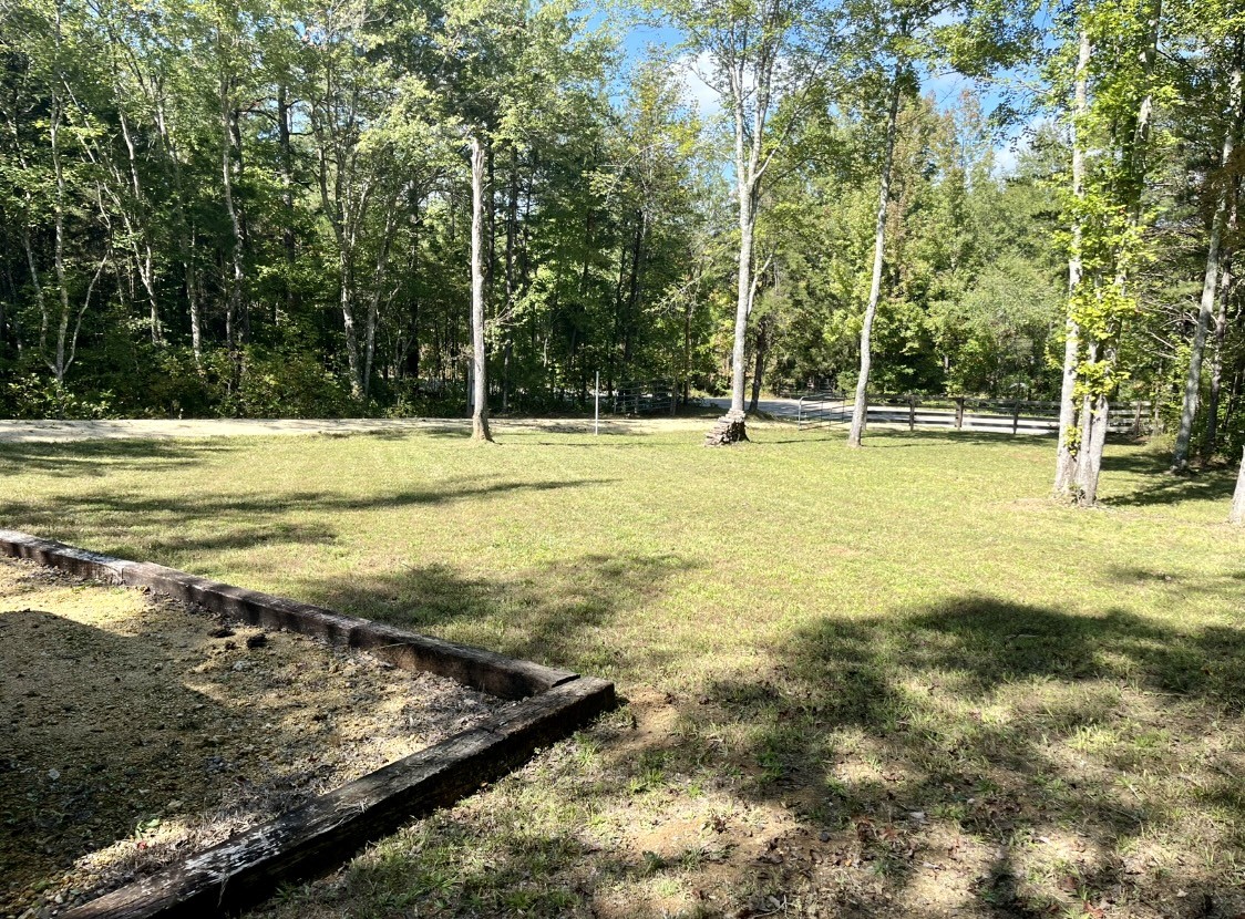 0 Brown Road Hohenwald, TN 38462 - Photo 3 of 28 Gallery Image 3