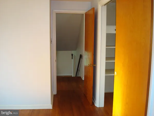 a view of a park with large trees