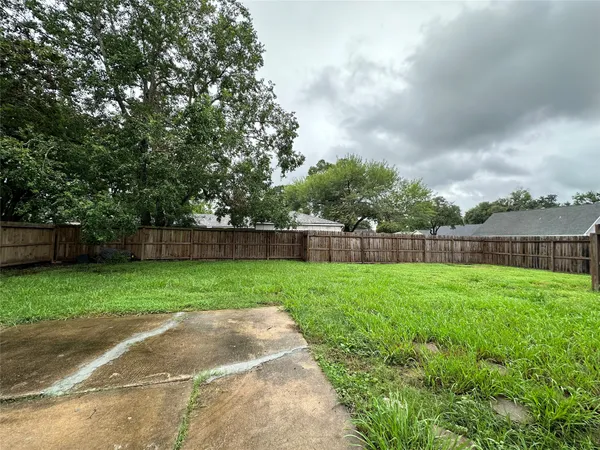 a view of a yard with a street