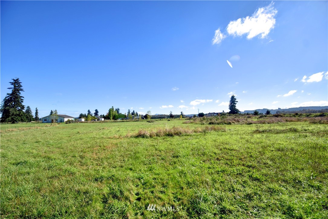 17012 Kaylen Lane Southwest Rochester, WA 98579 - Photo 23 of 26 a view of a green field