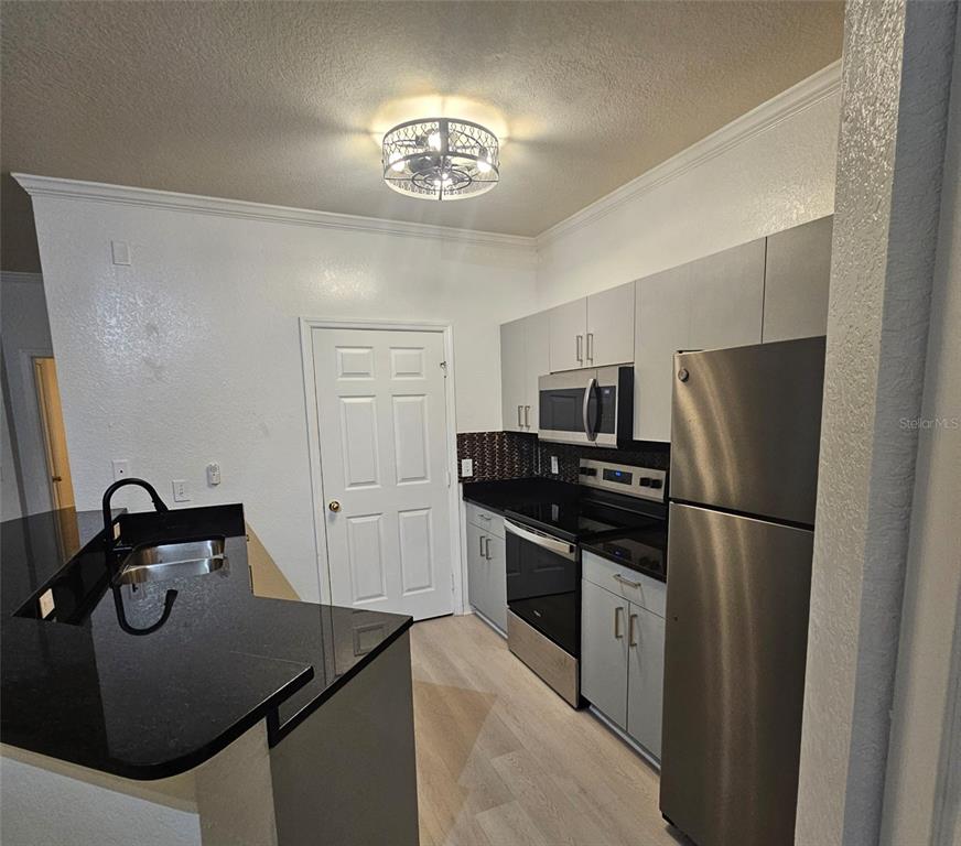 3621 Conroy Road, Unit 738 Orlando, FL 32839 - Photo 3 of 10 Gallery Image 3