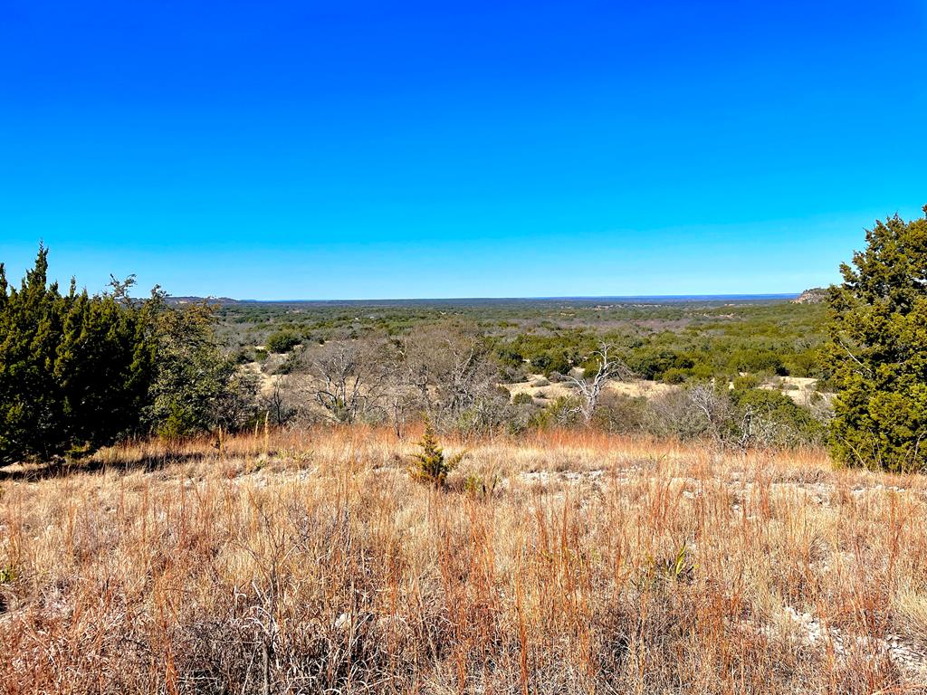 1476 Salt Branch Loop Doss, TX 78618 - Photo 11 of 20 Gallery Image 11