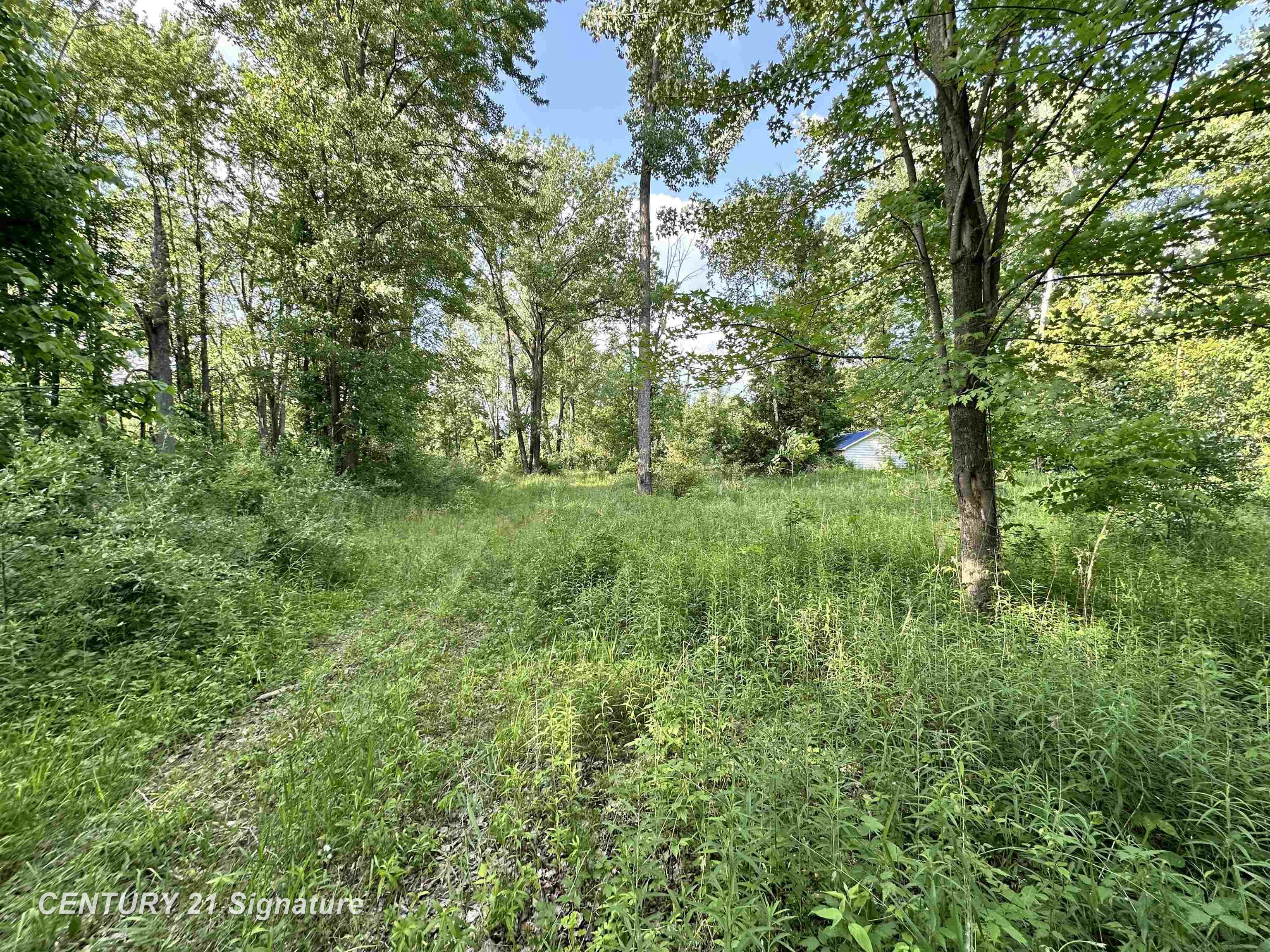 4020 Wieman Road Beaverton, MI 48612 - Photo 3 of 17