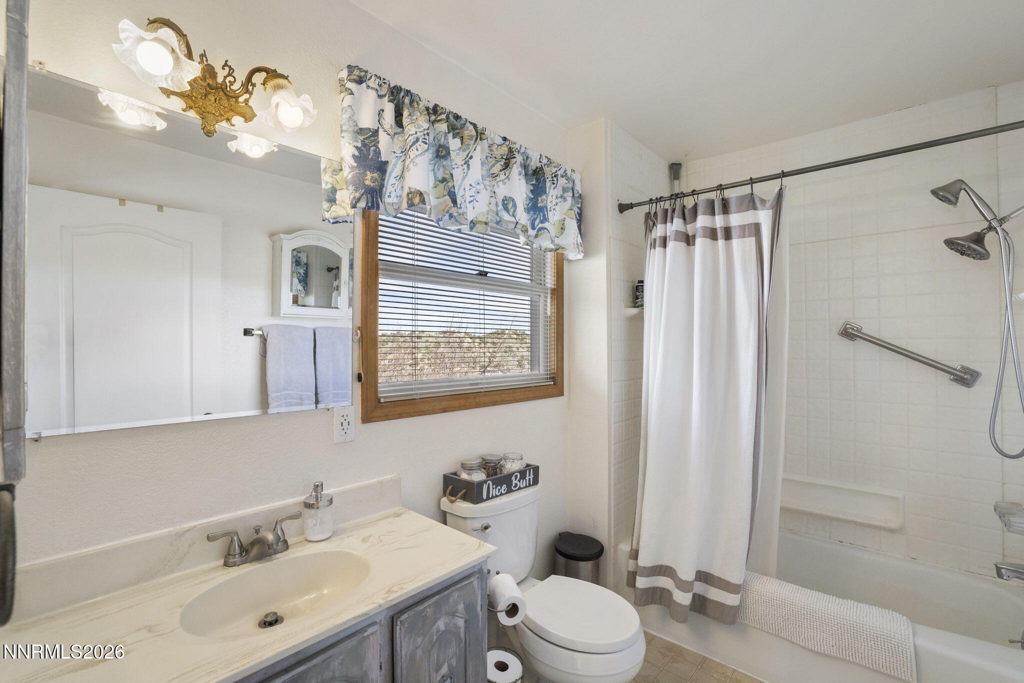99 Toll Road Virginia City, NV 89440 - Photo 37 of 44 a bathroom with a sink vanity mirror and toilet
