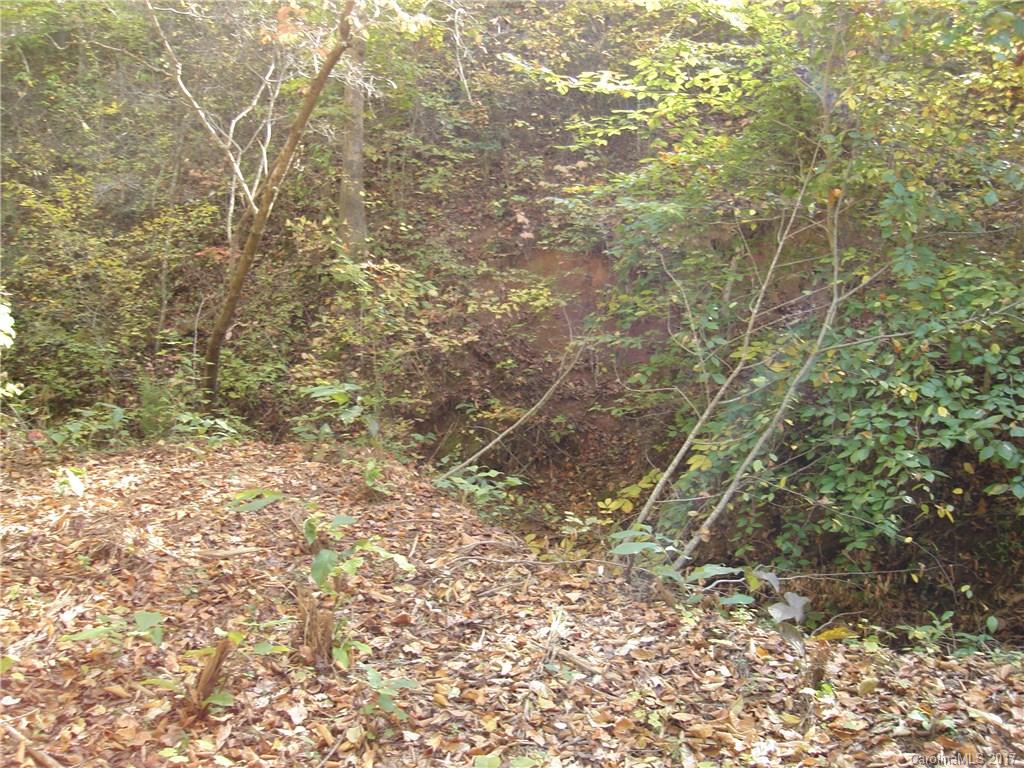 Tbd Hope Drive, Unit 15 Rutherfordton, NC 28139 - Photo 4 of 4 Gallery Image 4