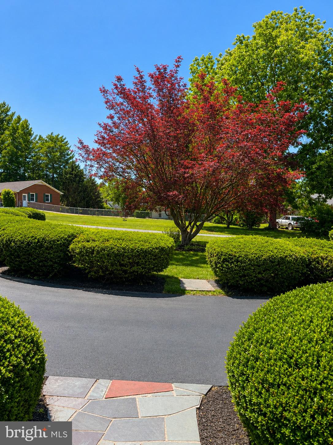 368 Old Farm Road Luray, VA 22835 - Photo 22 of 30 Vibrant blooms in a serene landscape.