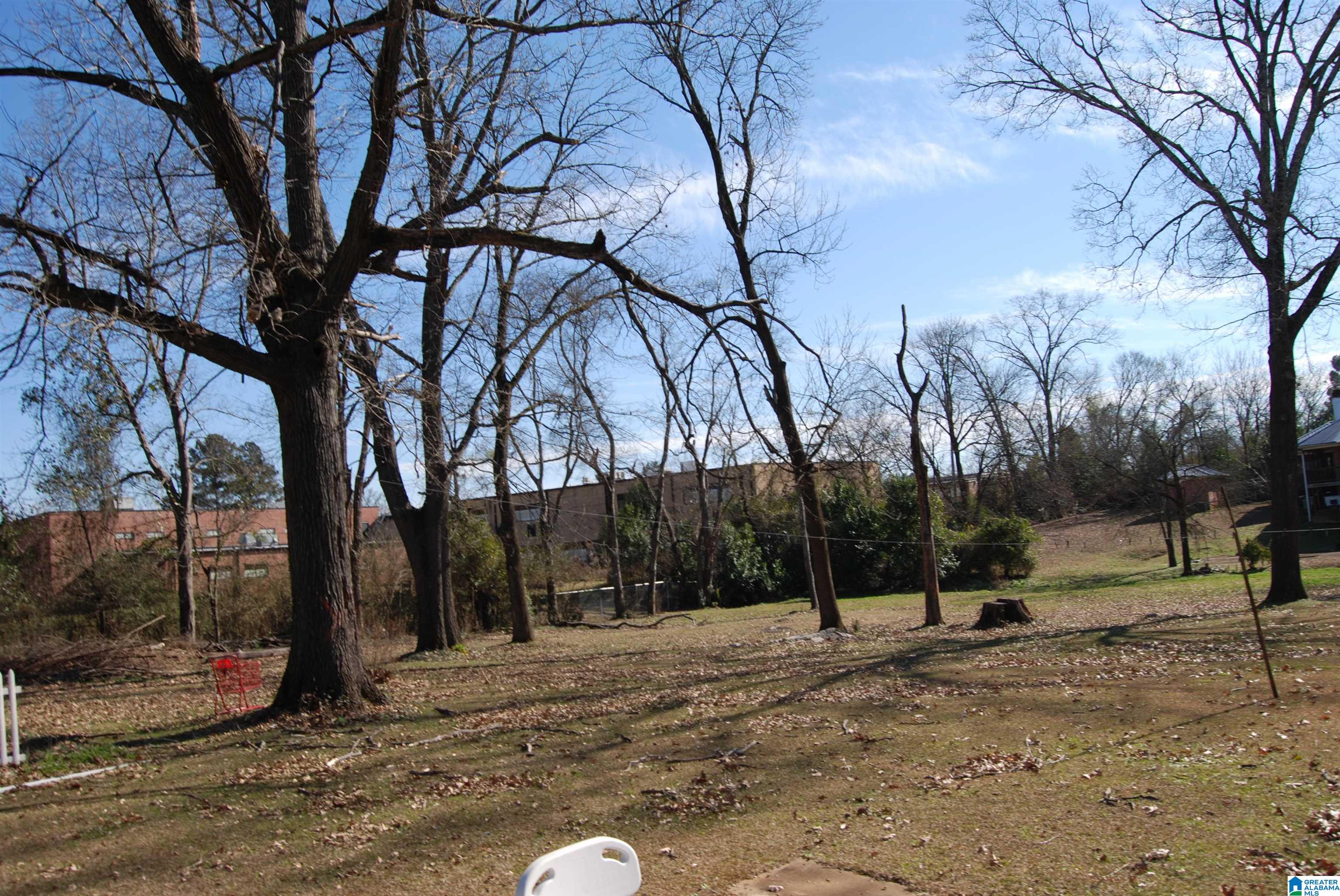1017 Pineview Road Birmingham, AL 35228 - Photo 38 of 45