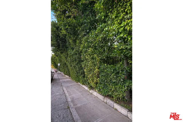 a picture of a small yard