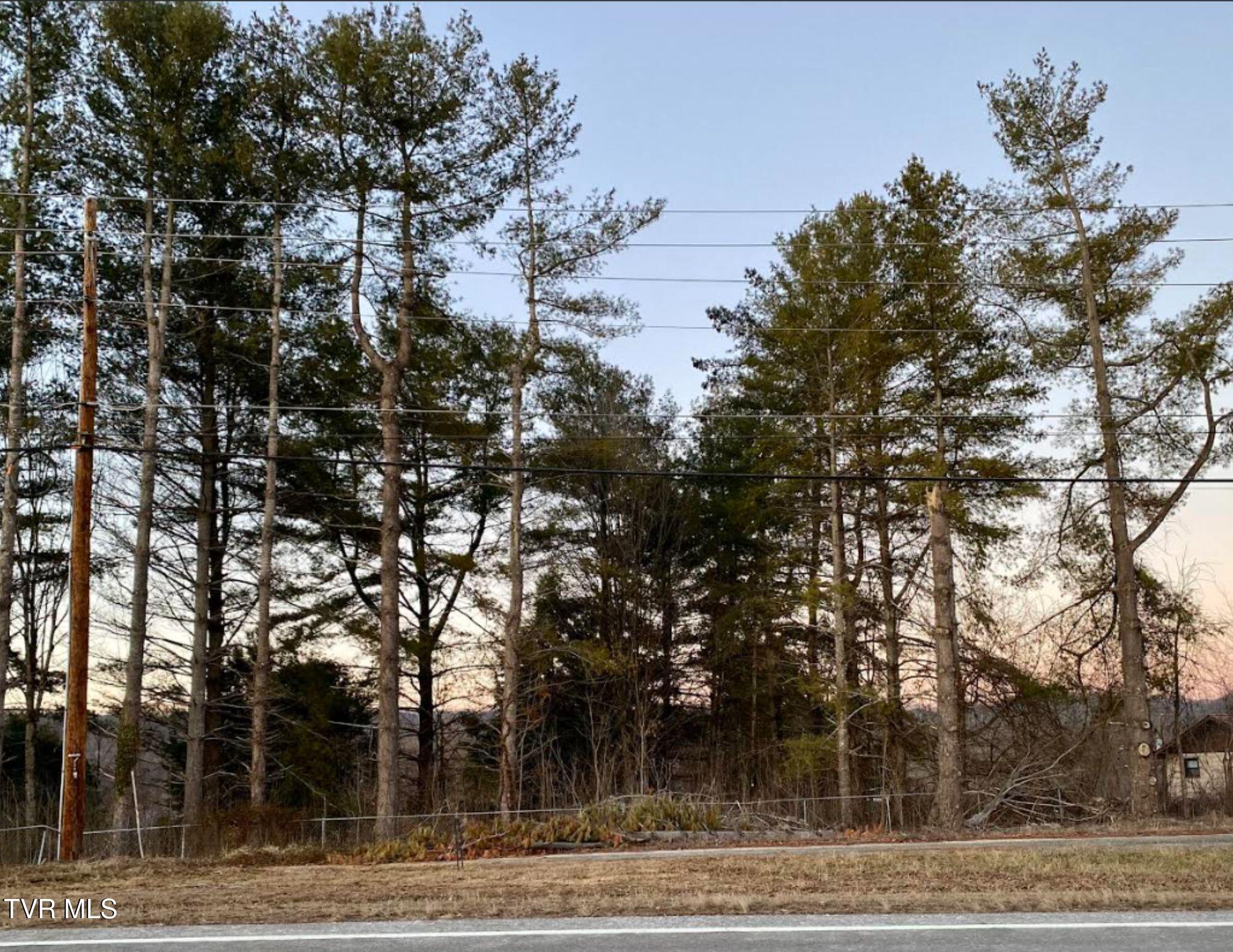 Tbd Carters Valley Road, Unit LOT 4 Church Hill, TN 37642 - Photo 1 of 2 lot 4 Front Distant