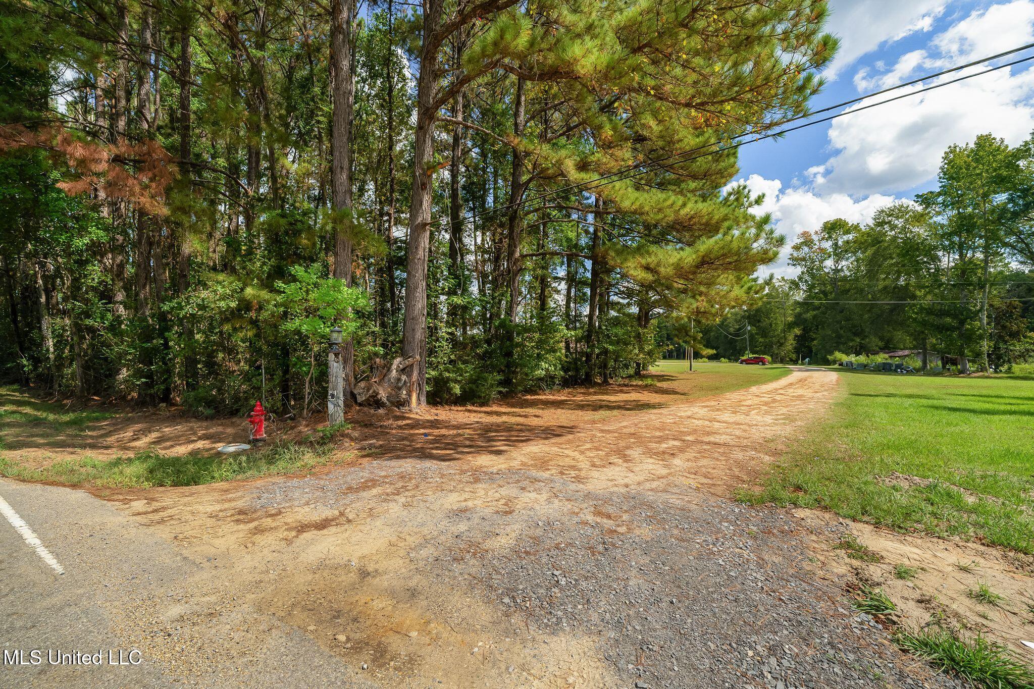488 Rawls Springs Loop Road Hattiesburg, MS 39402 - Photo 26 of 32 488_Rawls_Springs_Loop_Rd-35