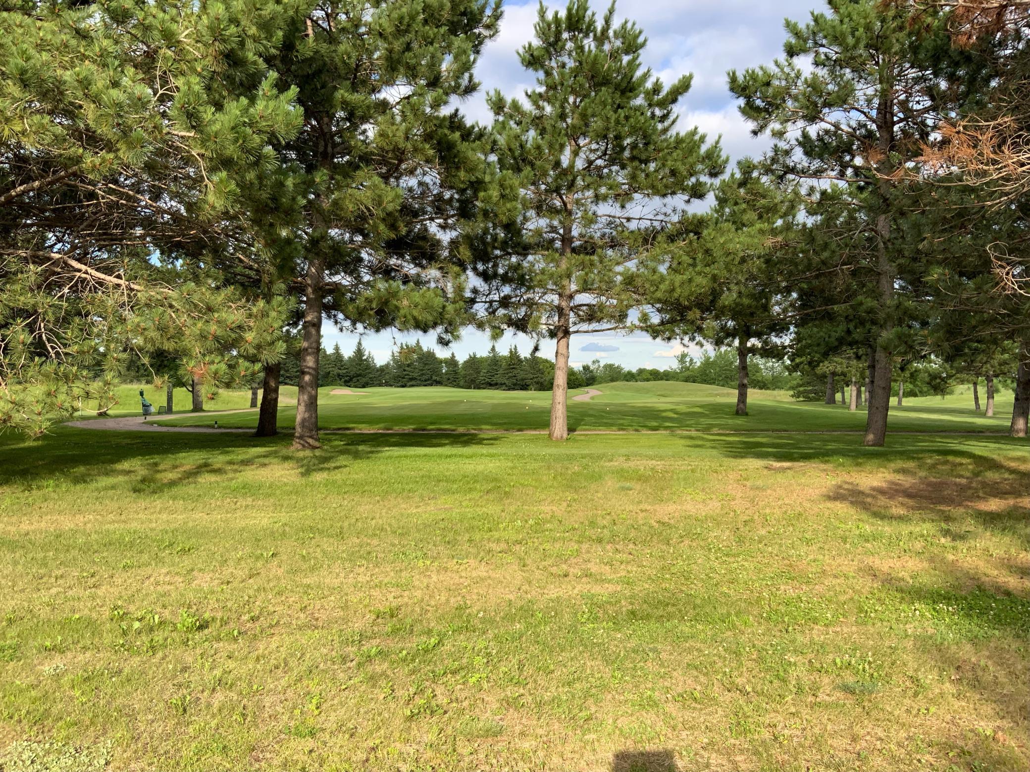 430 Thumper Lodge Road Ottertail, MN 56571 - Photo 2 of 12