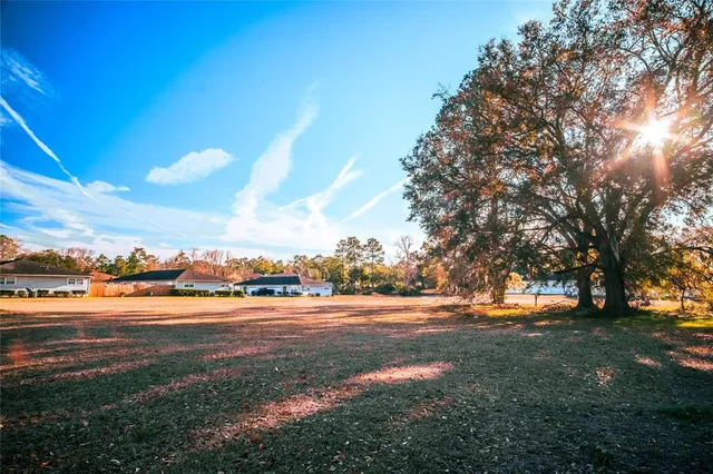 a view of road with yard and trees