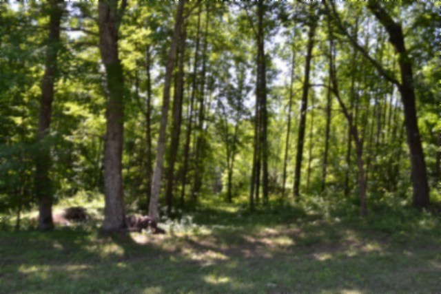 318 Rock Springs Road Celina, TN 38551 - Photo 35 of 87