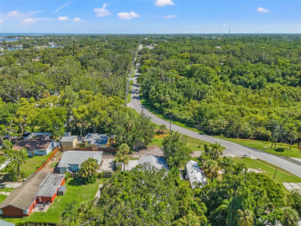 5724 Casson Avenue New Port Richey, FL 34652 - Photo 5 of 43