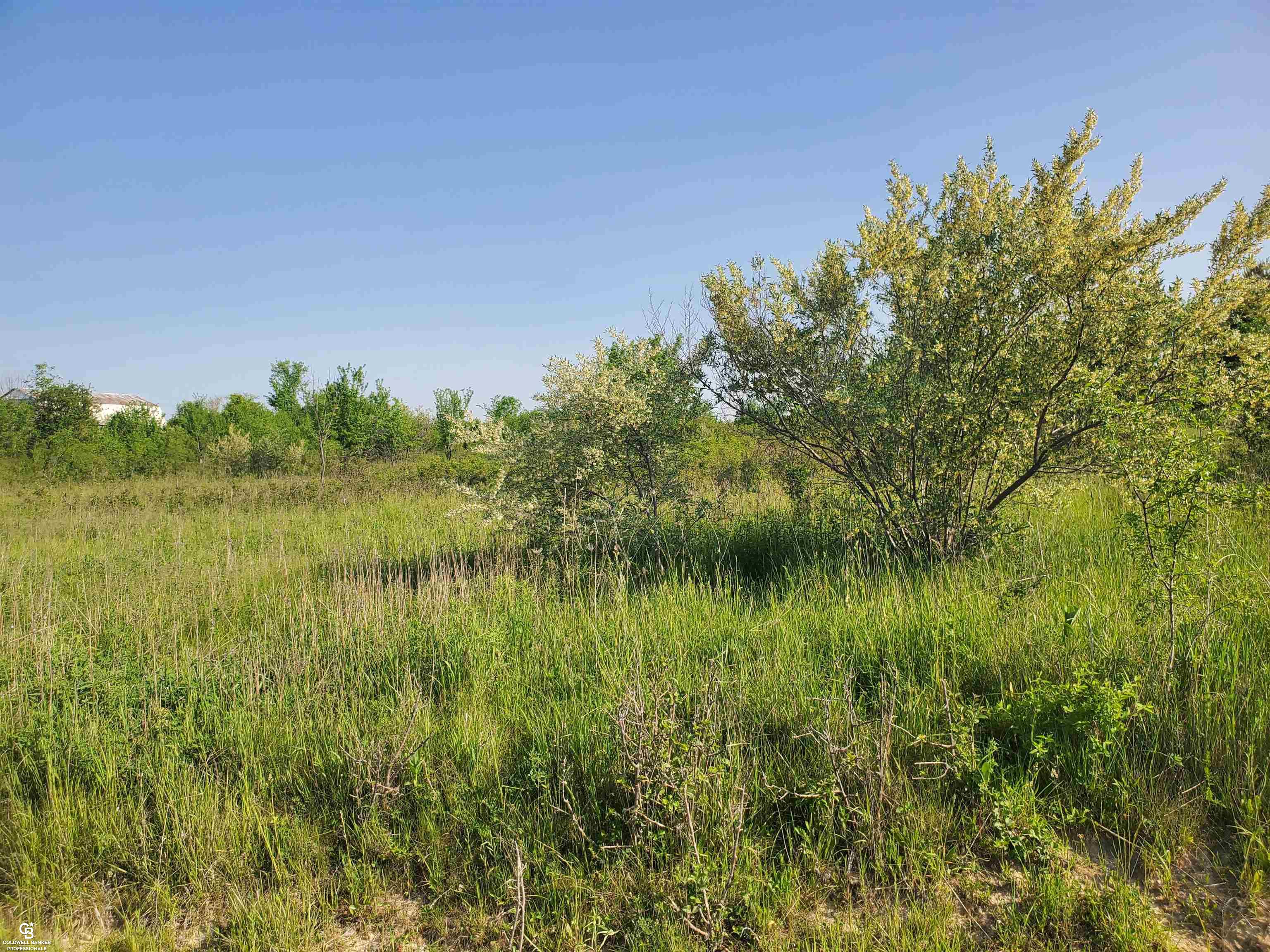 Jeddo Rd Ville Yale, MI 48097 - Photo 2 of 8