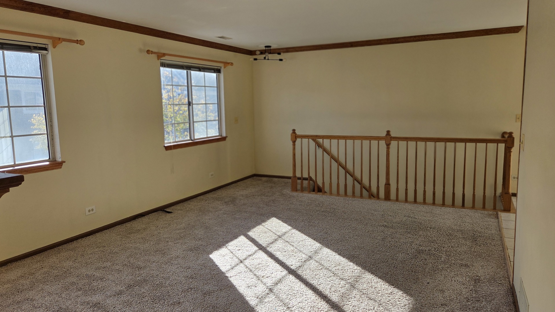 427 Village Creek Drive Lake In The Hills, IL 60156 - Photo 3 of 11 a view of a balcony