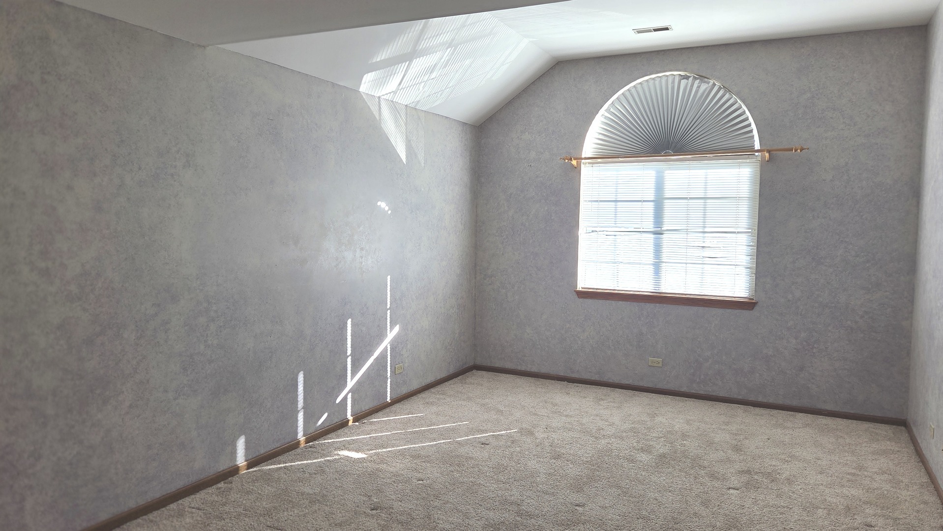 427 Village Creek Drive Lake In The Hills, IL 60156 - Photo 8 of 11 an empty room with windows and chandelier fan