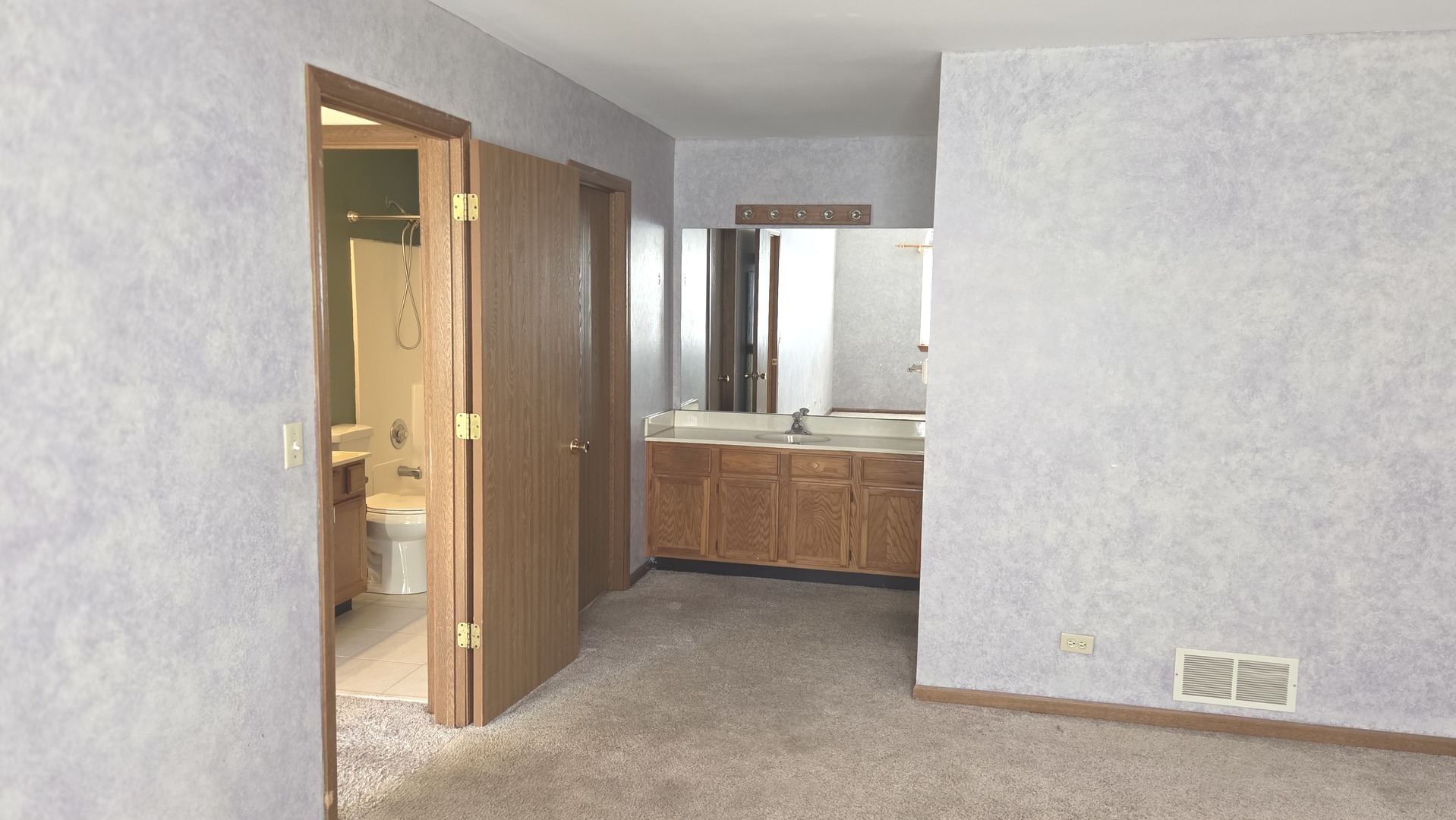 427 Village Creek Drive Lake In The Hills, IL 60156 - Photo 9 of 11 a view of a bathroom with mirror