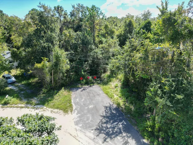 a view of a pathway both side of yard