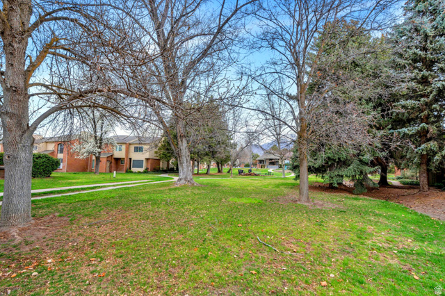 3221 North Shadowbrook Circle Provo, UT 84604 - Photo 21 of 29 Expansive green space featuring mature trees and a paved pathway