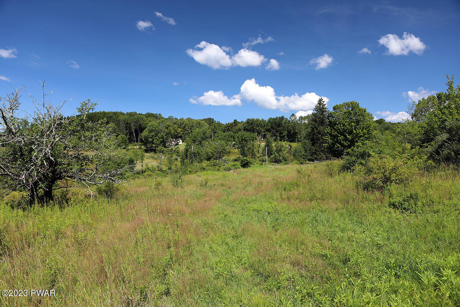 178 Baldwin Hill Road Damascus, PA 18415 - Photo 32 of 38