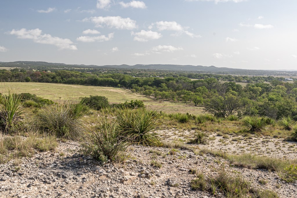 535 China Street Center Point, TX 78010 - Photo 22 of 28