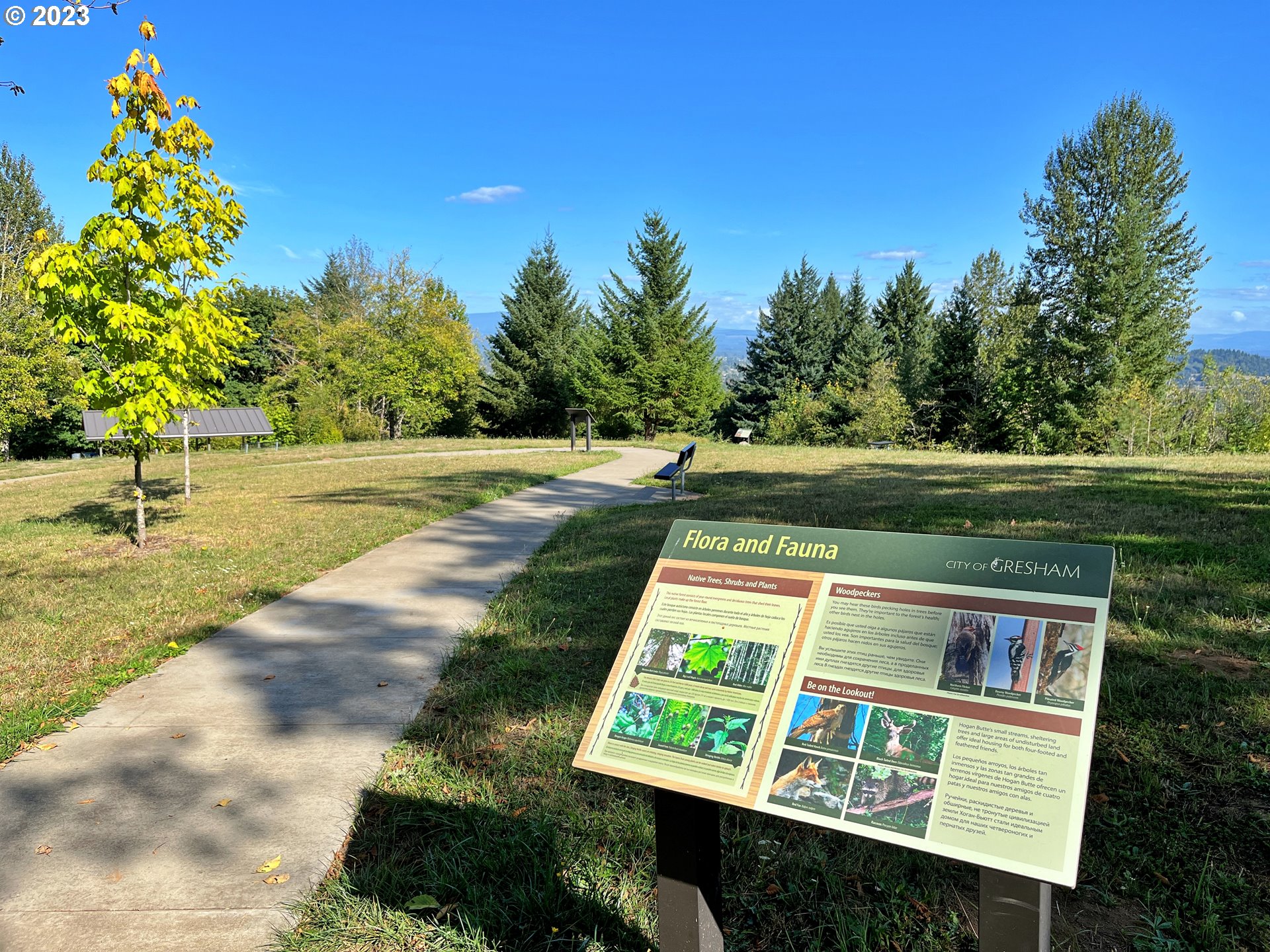 1601 Southeast Elliott Avenue Gresham, OR 97080 - Photo 46 of 48 a view of a yard with a house