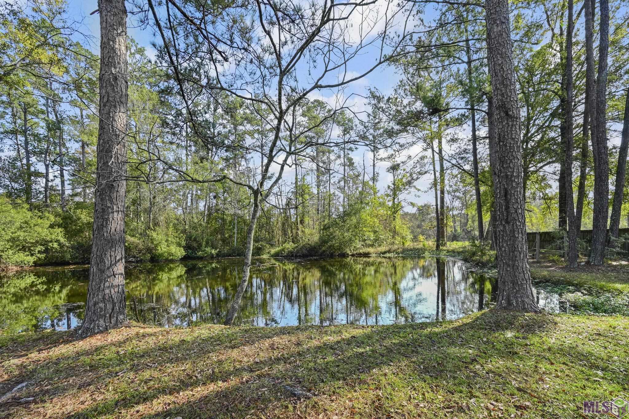 28660 Old Doyle Road Livingston, LA 70754 - Photo 3 of 12