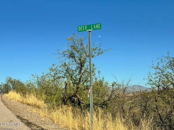 $9,900 | 1191 Deer Lane, Unit 47, Rio Rico, AZ 85648