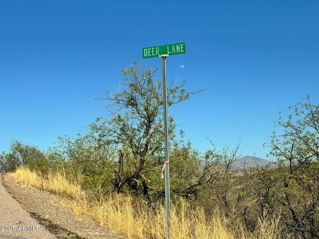 $9,900 | 1191 Deer Lane, Unit 47, Rio Rico, AZ 85648