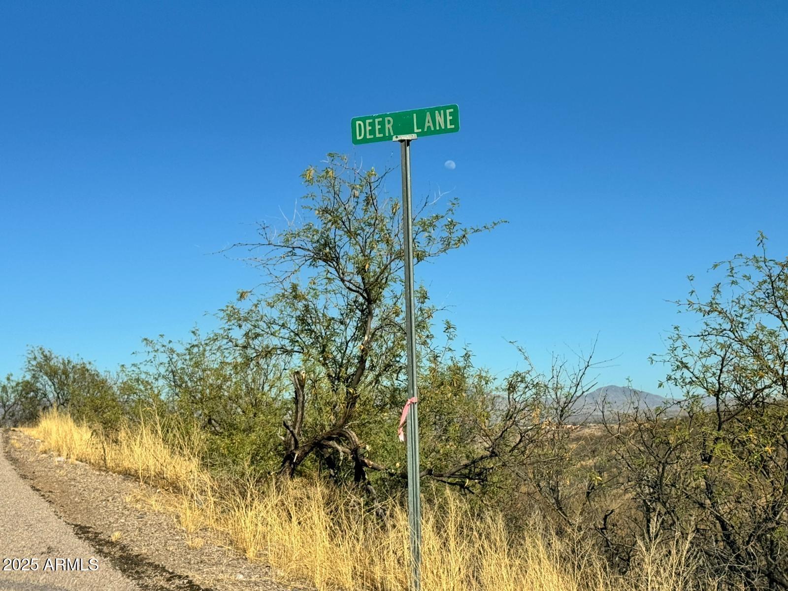 1191 Deer Lane, Unit 47 Rio Rico, AZ 85648 - Photo 3 of 7 3d79c3ef-17c9-4135-949a-c15c4a7810ea
