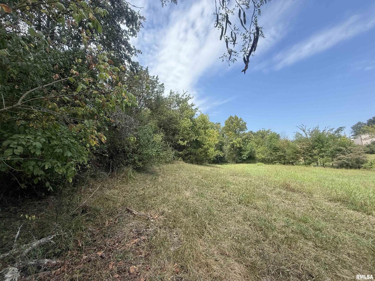 0 Wood Road Carbondale, IL 62966 - Photo 11 of 26