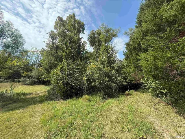 a view of a yard with a tree