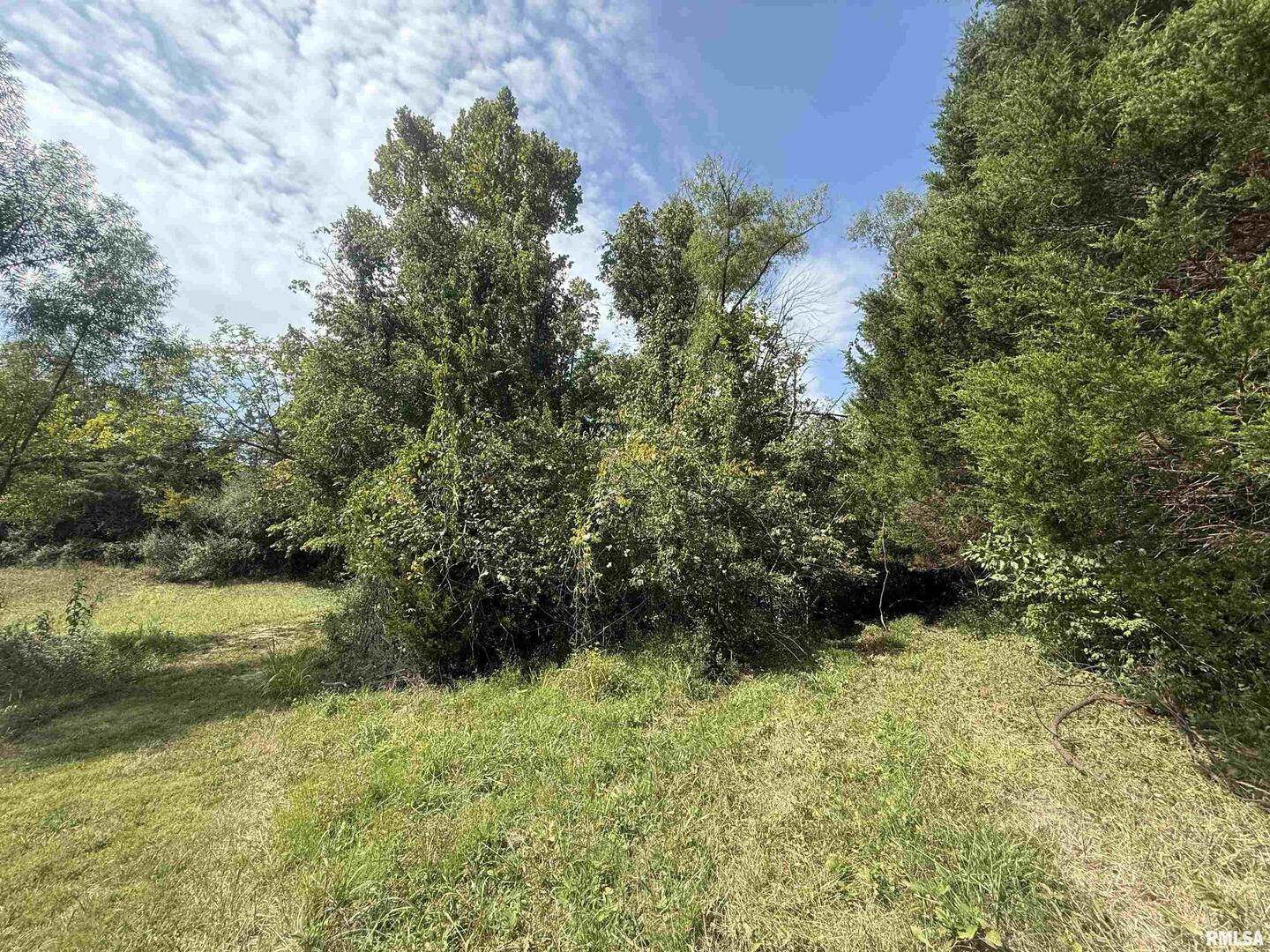 0 Wood Road Carbondale, IL 62966 - Photo 15 of 26