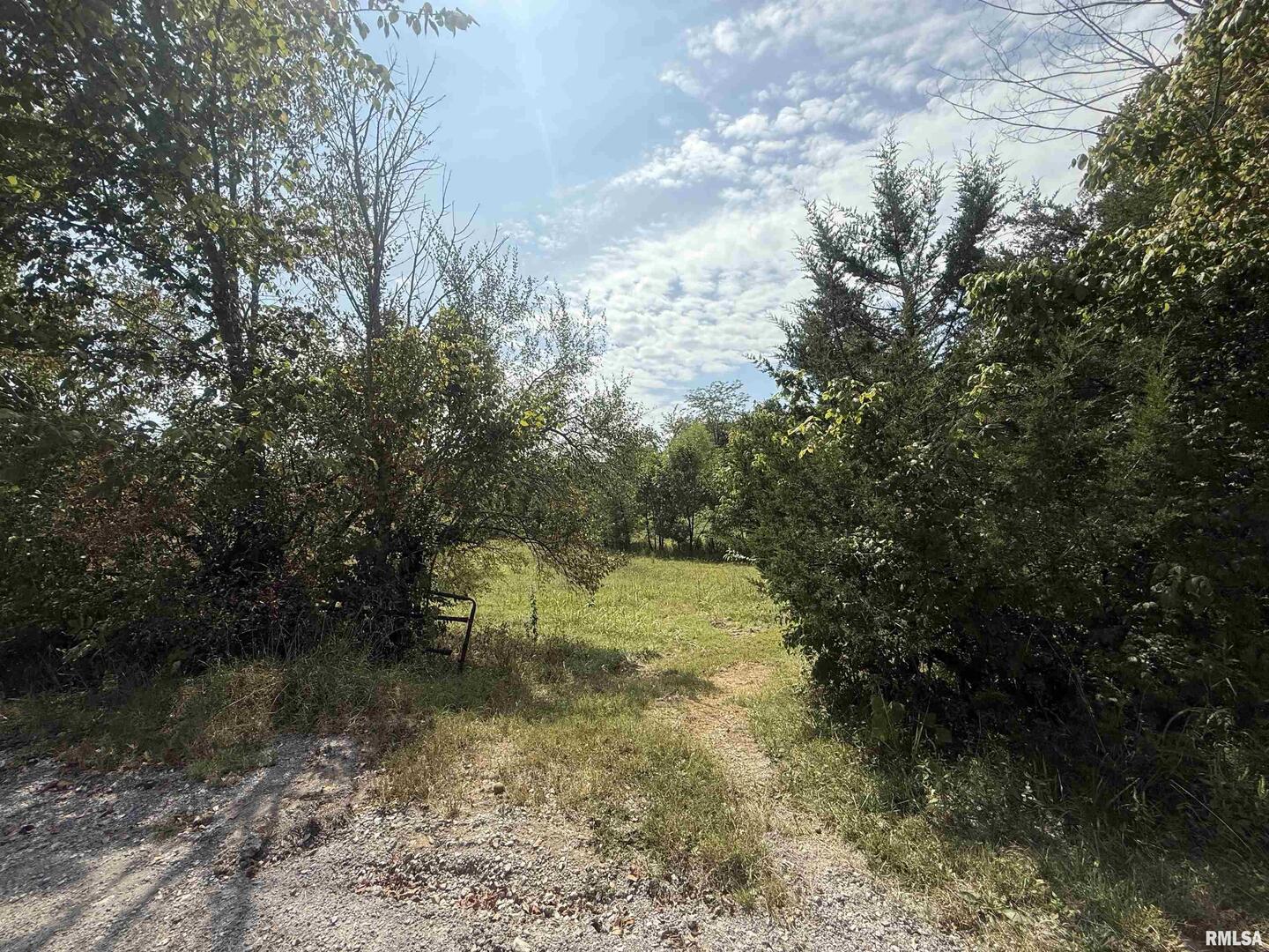 0 Wood Road Carbondale, IL 62966 - Photo 16 of 26