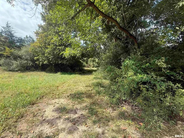 a view of lake with green space