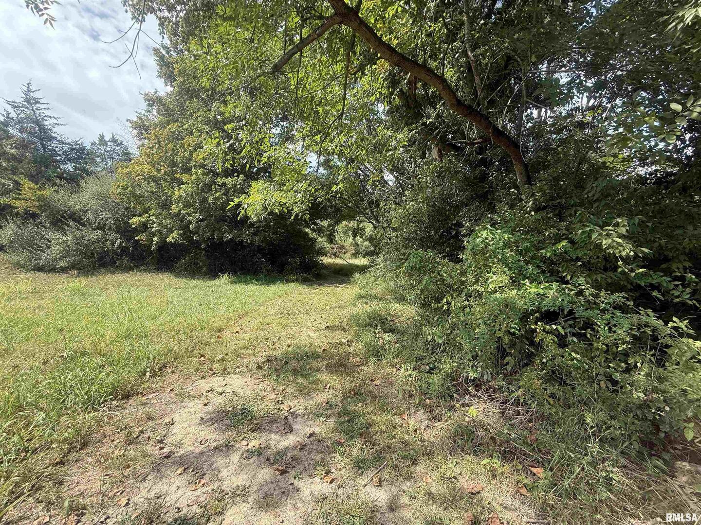 0 Wood Road Carbondale, IL 62966 - Photo 17 of 26