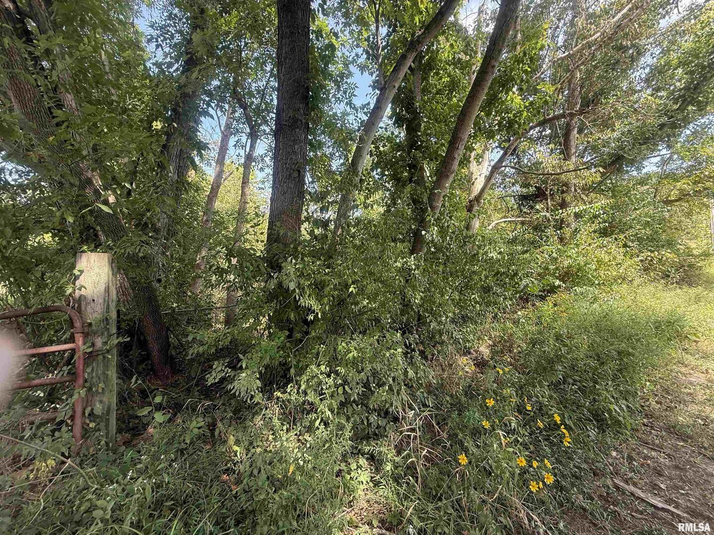 0 Wood Road Carbondale, IL 62966 - Photo 24 of 26