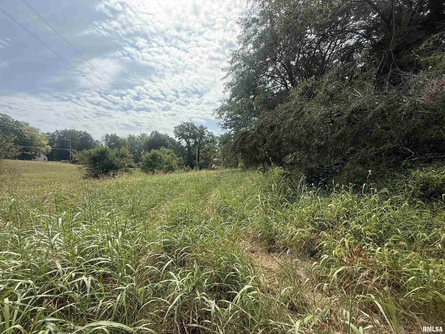 0 Wood Road Carbondale, IL 62966 - Photo 25 of 26